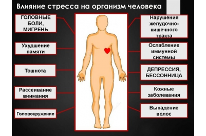 Официальный сайт гбу сон со срцн верхнесалдинского района